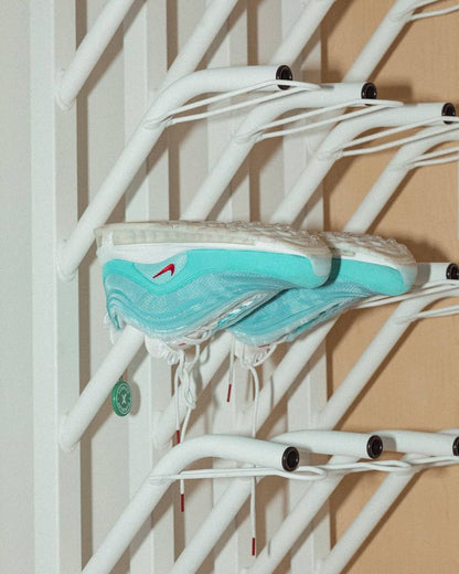 Electric Shoe Dryer & Deodorizer – Fast Drying Shoe Care Machine